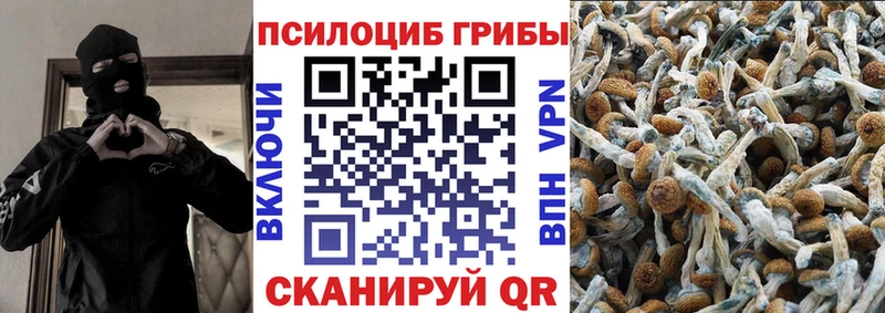Галлюциногенные грибы ЛСД  цены наркотик  Могоча 